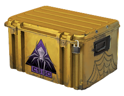 Shattered Web Case image