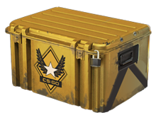 Winter Offensive Weapon Case image