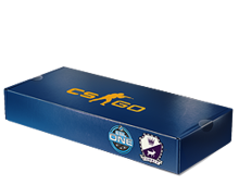 ESL One Cologne 2014 Cobblestone Souvenir Package image