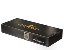 DreamHack 2014 Inferno Souvenir Package image