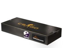 DreamHack 2014 Cobblestone Souvenir Package image