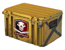 Falchion Case image