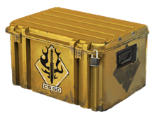 Spectrum Case image
