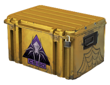 Shattered Web Case image