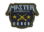Metal Master Guardian Elite image