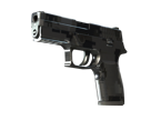 P250 | Metallic DDPAT image