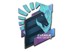 Team Liquid (Holo) | Boston 2018 image