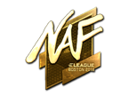 NAF (Gold) | Boston 2018 image