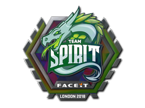 Team Spirit (Holo) | London 2018 image