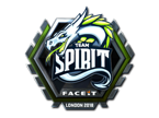 Team Spirit (Foil) | London 2018 image
