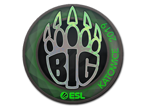 BIG (Holo) | Katowice 2019 image