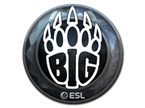 BIG (Foil) | Katowice 2019 image