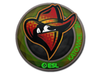 Renegades (Holo) | Katowice 2019 image