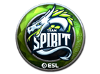 Team Spirit (Foil) | Katowice 2019 image