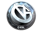 ViCi Gaming (Foil) | Katowice 2019 image