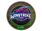 Winstrike Team (Holo) | Katowice 2019 image