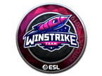 Winstrike Team (Foil) | Katowice 2019 image