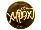 Xyp9x (Gold) | Katowice 2019 image