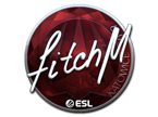 fitch (Foil) | Katowice 2019 image