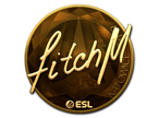 fitch (Gold) | Katowice 2019 image