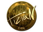tiziaN (Gold) | Katowice 2019 image