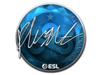 flusha (Foil) | Katowice 2019 image