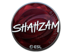 ShahZaM (Foil) | Katowice 2019 image