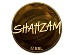 ShahZaM (Gold) | Katowice 2019 image
