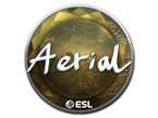 Aerial (Foil) | Katowice 2019 image