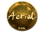 Aerial (Gold) | Katowice 2019 image