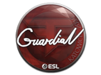 GuardiaN | Katowice 2019 image