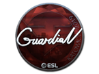 GuardiaN (Foil) | Katowice 2019 image