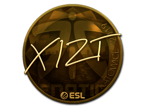Xizt (Gold) | Katowice 2019 image