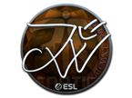 JW (Foil) | Katowice 2019 image