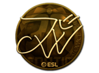 JW (Gold) | Katowice 2019 image