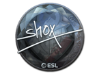 shox (Foil) | Katowice 2019 image