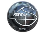kennyS (Foil) | Katowice 2019 image