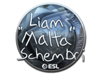 malta (Foil) | Katowice 2019 image