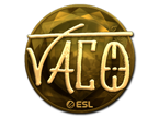 TACO (Gold) | Katowice 2019 image