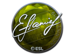 flamie (Foil) | Katowice 2019 image
