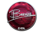 Brehze (Foil) | Katowice 2019 image