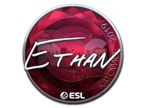 Ethan (Foil) | Katowice 2019 image