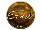 Ethan (Gold) | Katowice 2019 image