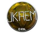 jkaem (Foil) | Katowice 2019 image