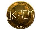 jkaem (Gold) | Katowice 2019 image