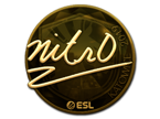 nitr0 (Gold) | Katowice 2019 image