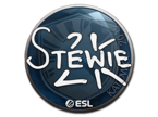 Stewie2K | Katowice 2019 image