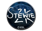 Stewie2K (Foil) | Katowice 2019 image