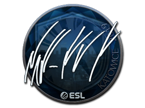 NAF (Foil) | Katowice 2019 image