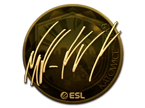 NAF (Gold) | Katowice 2019 image